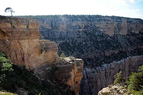 bright angel trail at the grand canyon